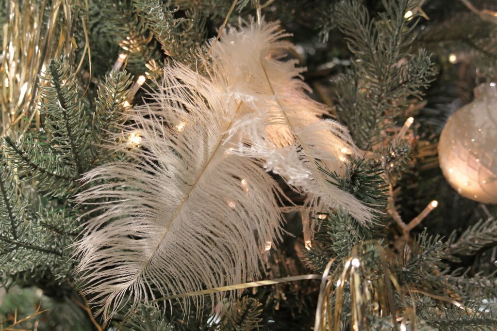 plume blanche dans sapin de noel