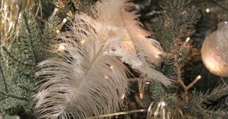 plume blanche dans sapin de noel