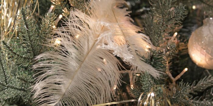 plume blanche dans sapin de noel